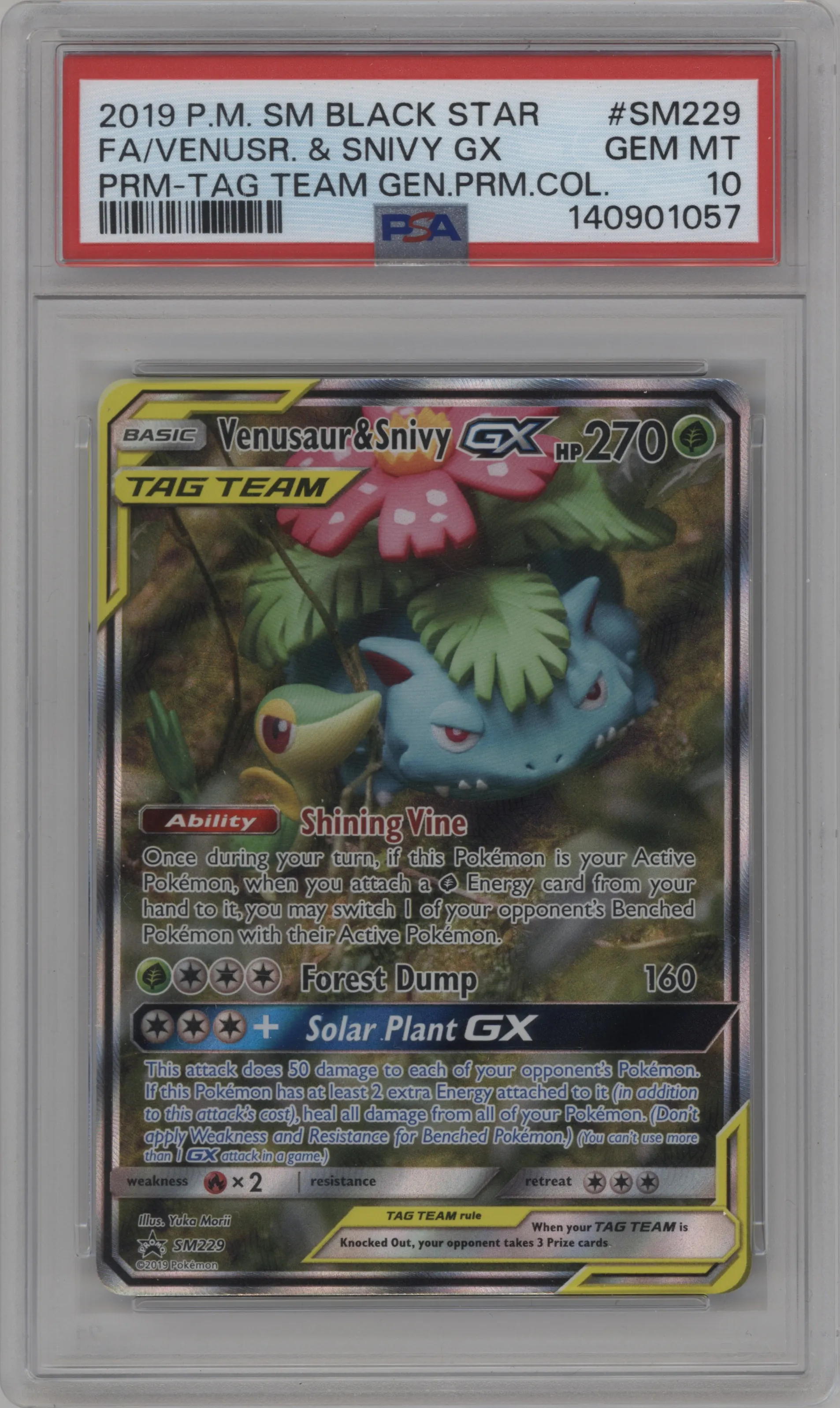 Venusaur/Snivy GX