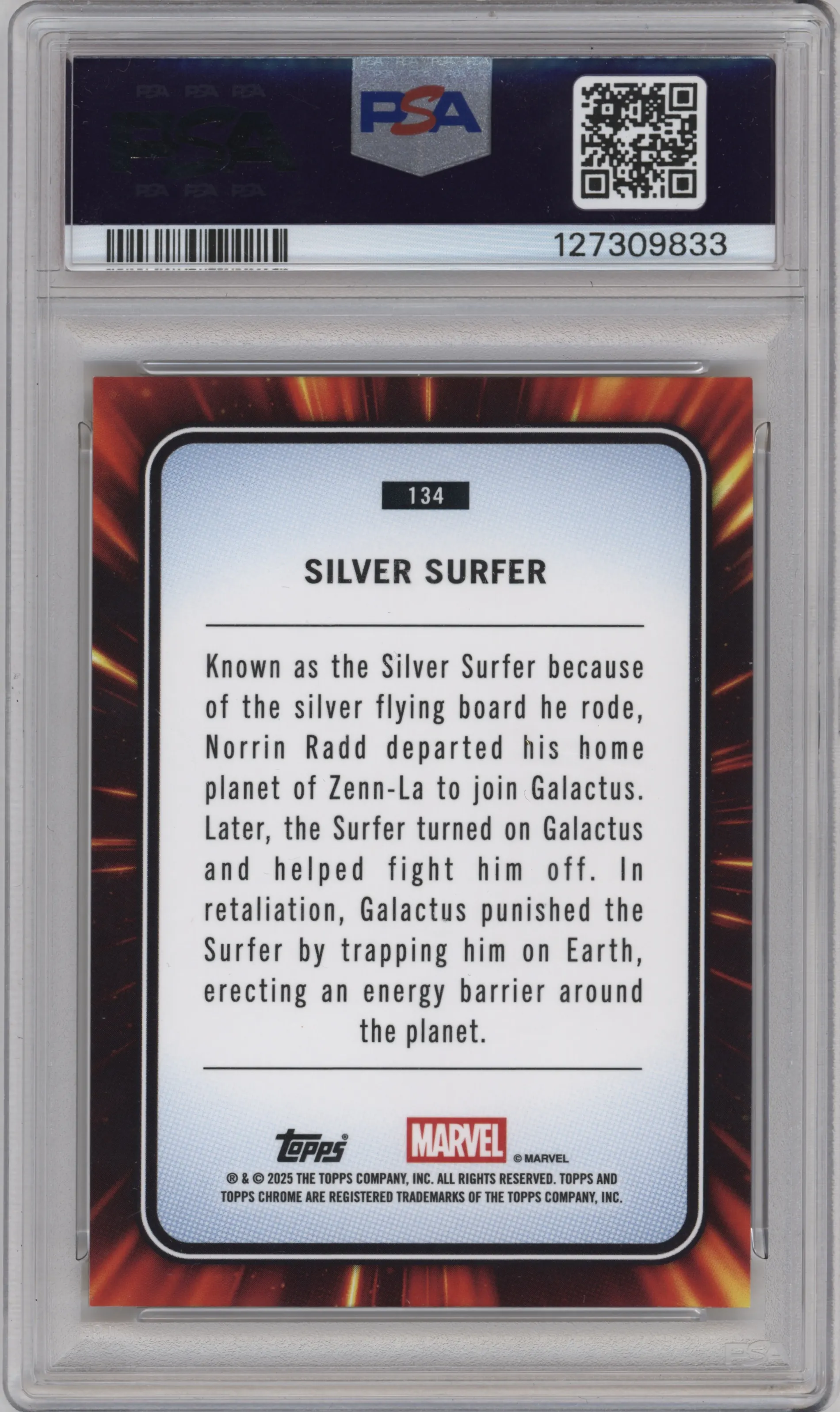 Silver Surfer