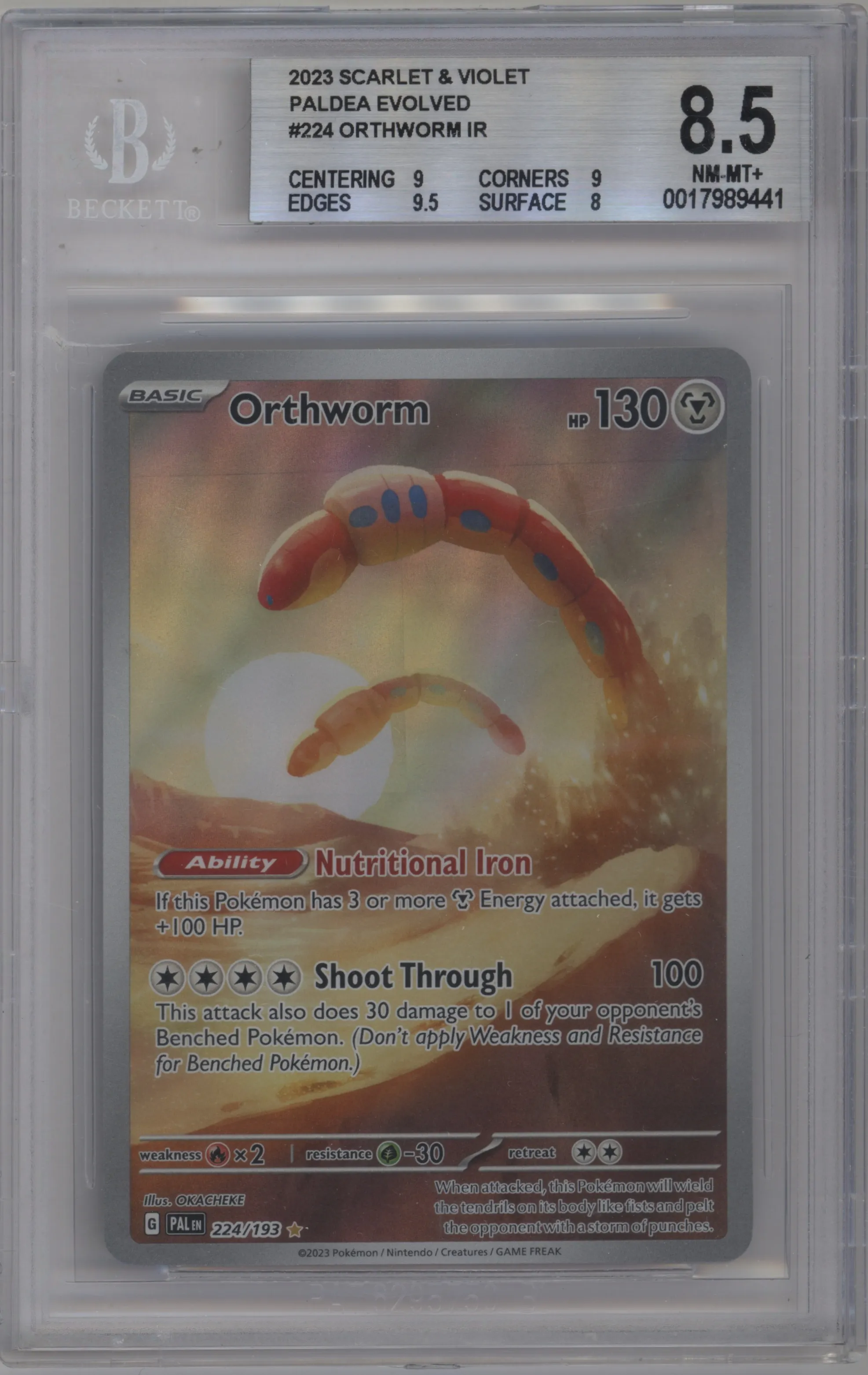 Orthworm