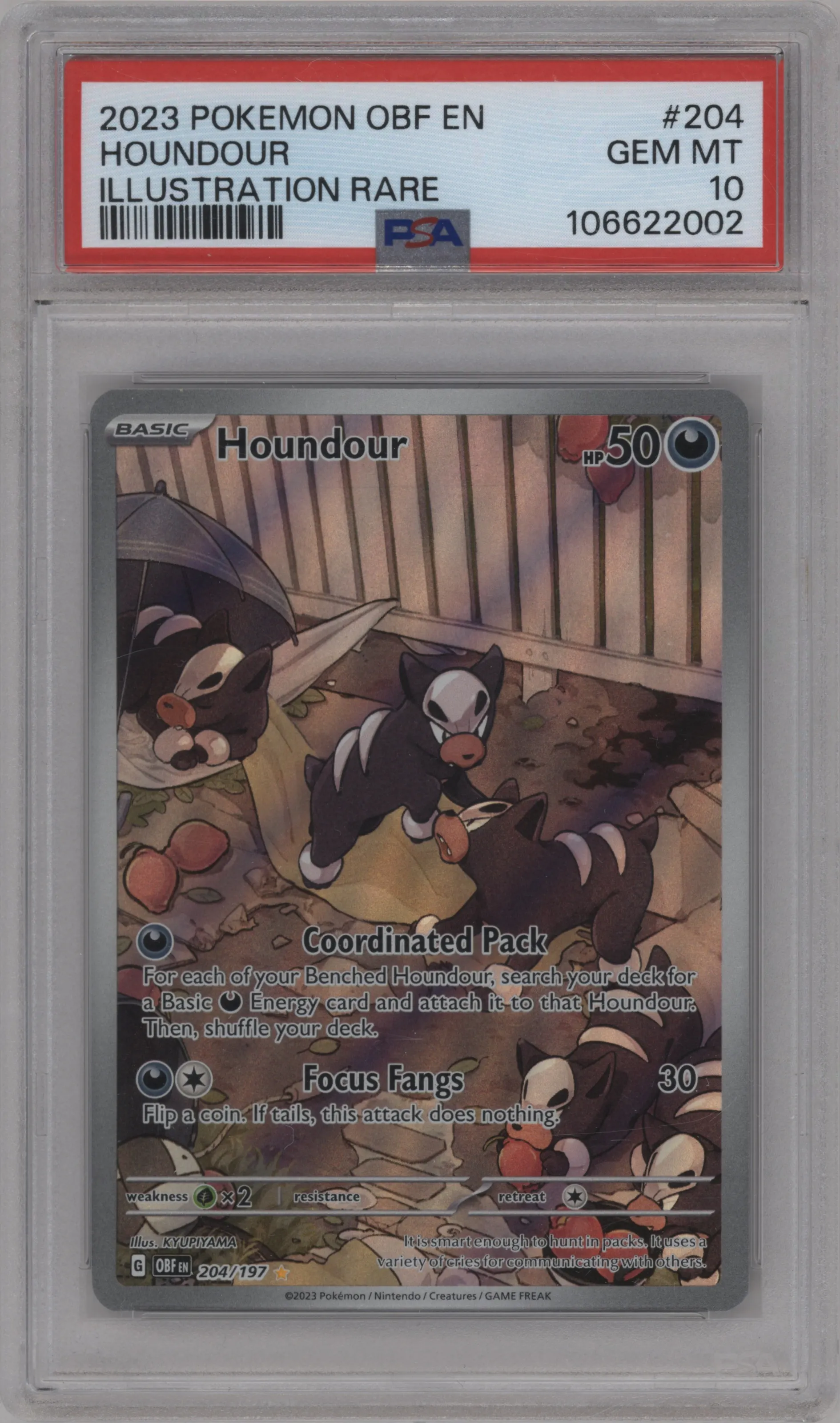 Houndour