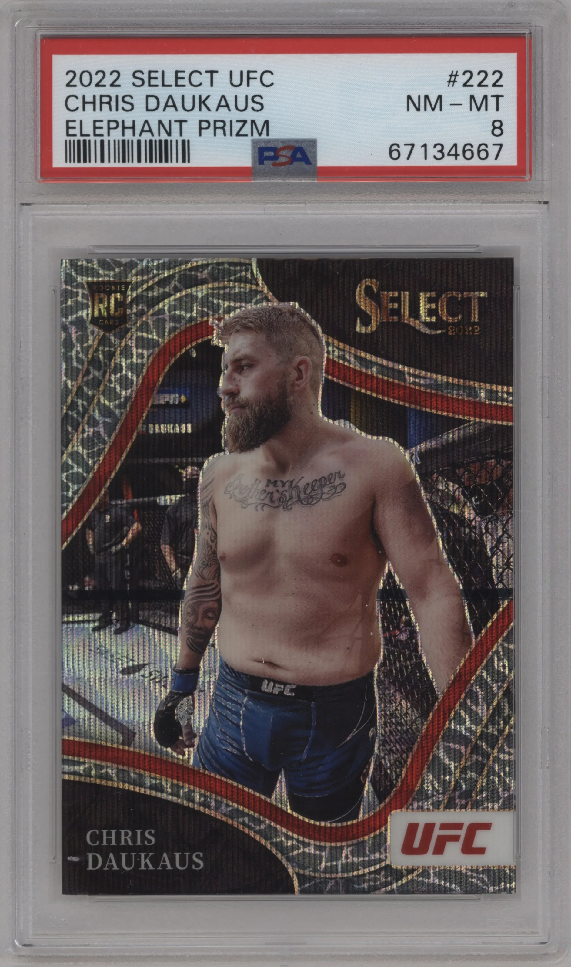 2022 Panini Select UFC Octagonside Chris Daukaus Elephant Prizm PSA 8