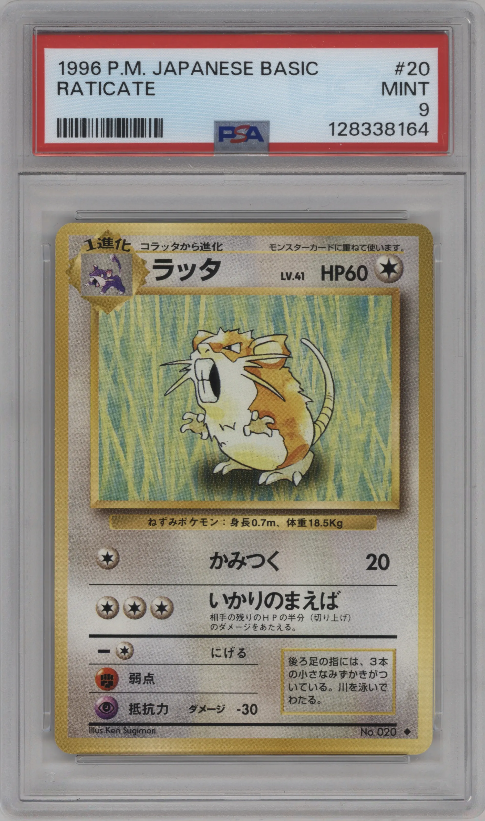 1996 Pokemon JPN Expansion Pack Raticate #020 PSA 9