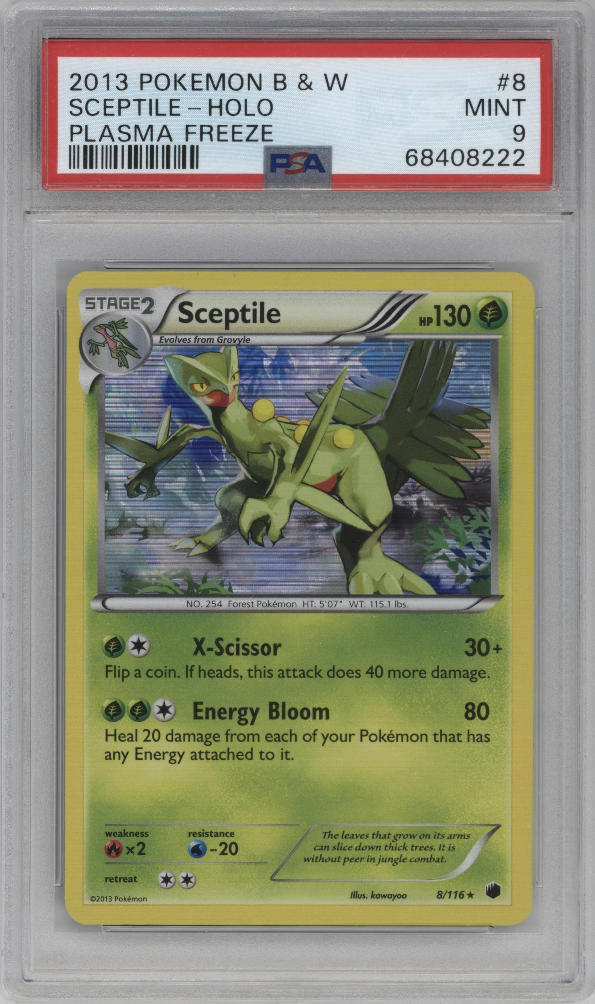 Sceptile