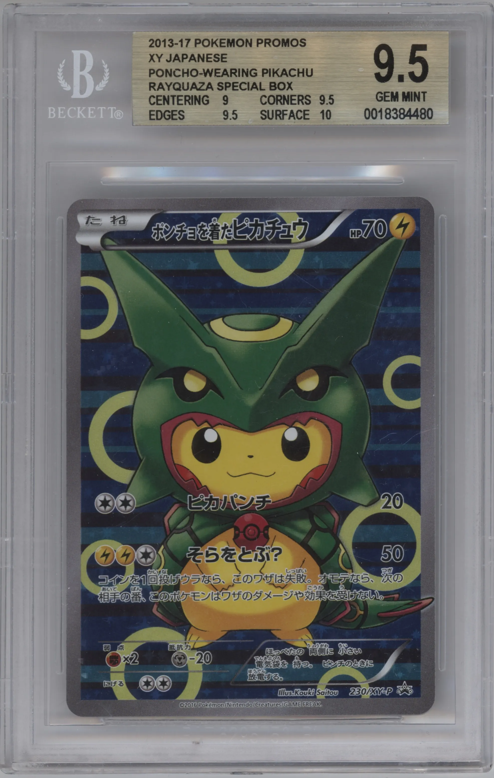 Slab Packs | ARENA CLUB