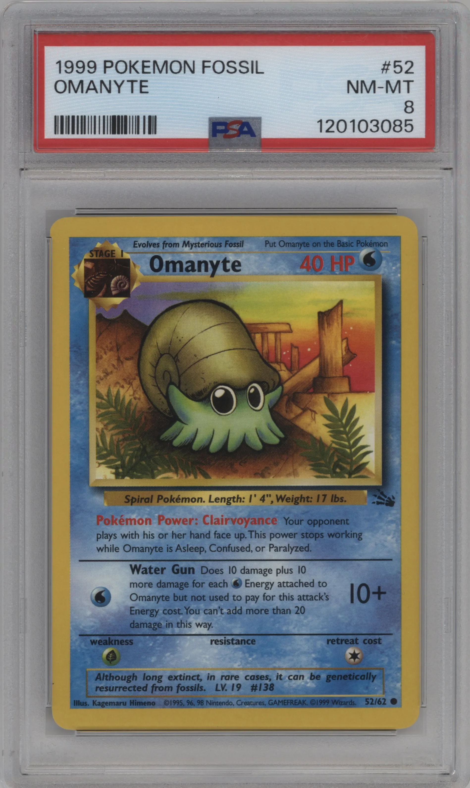 Omanyte