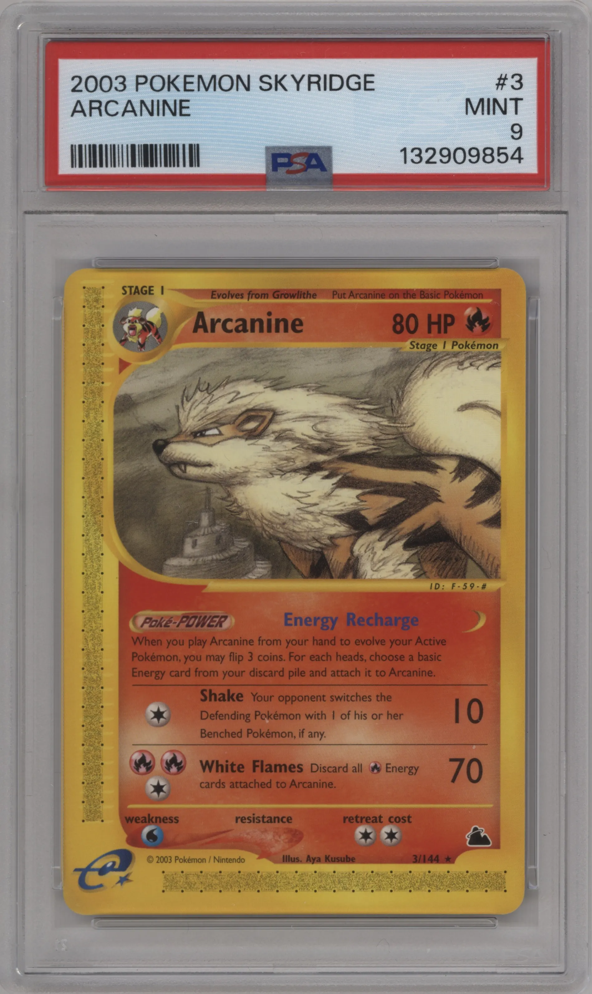 Arcanine