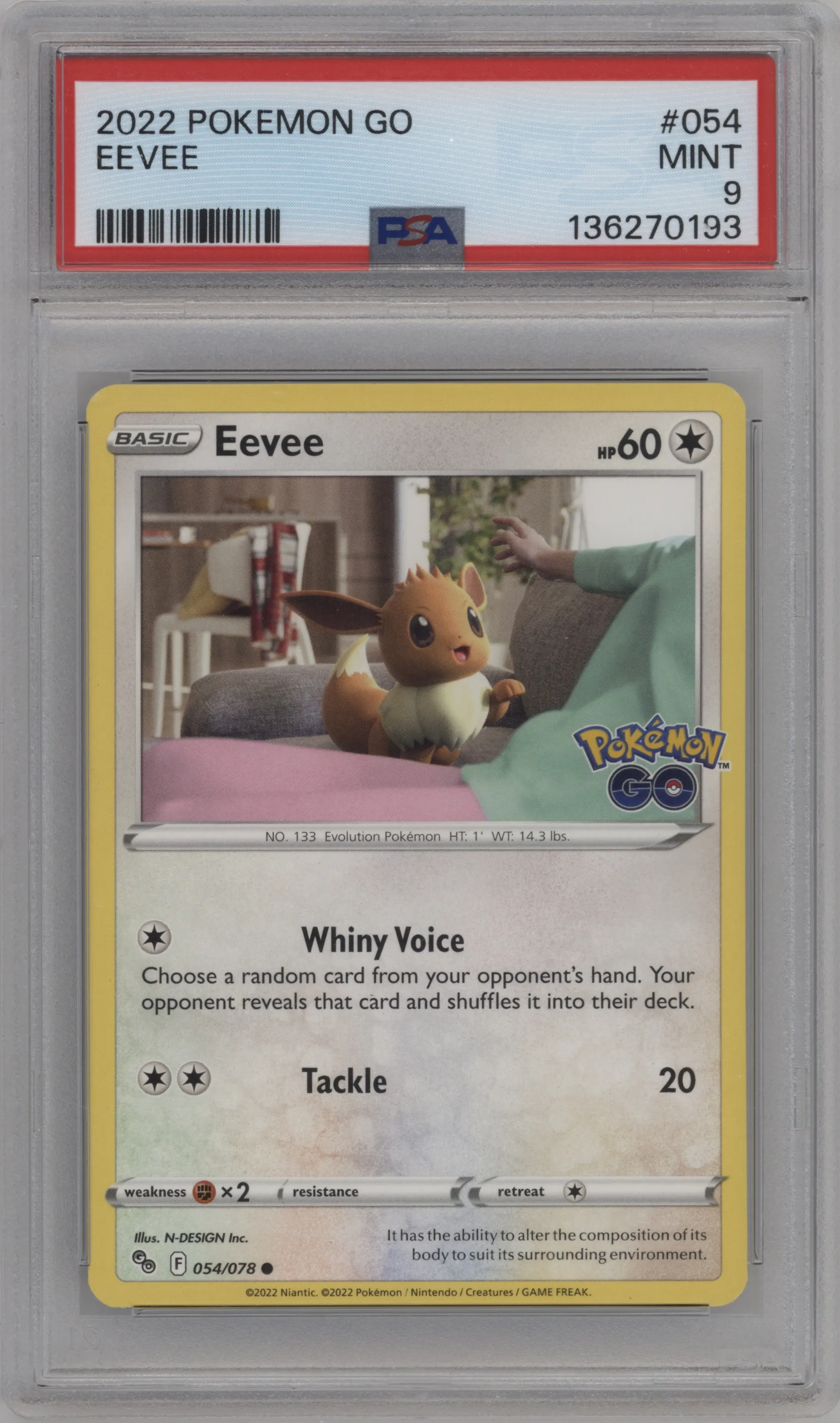 Eevee