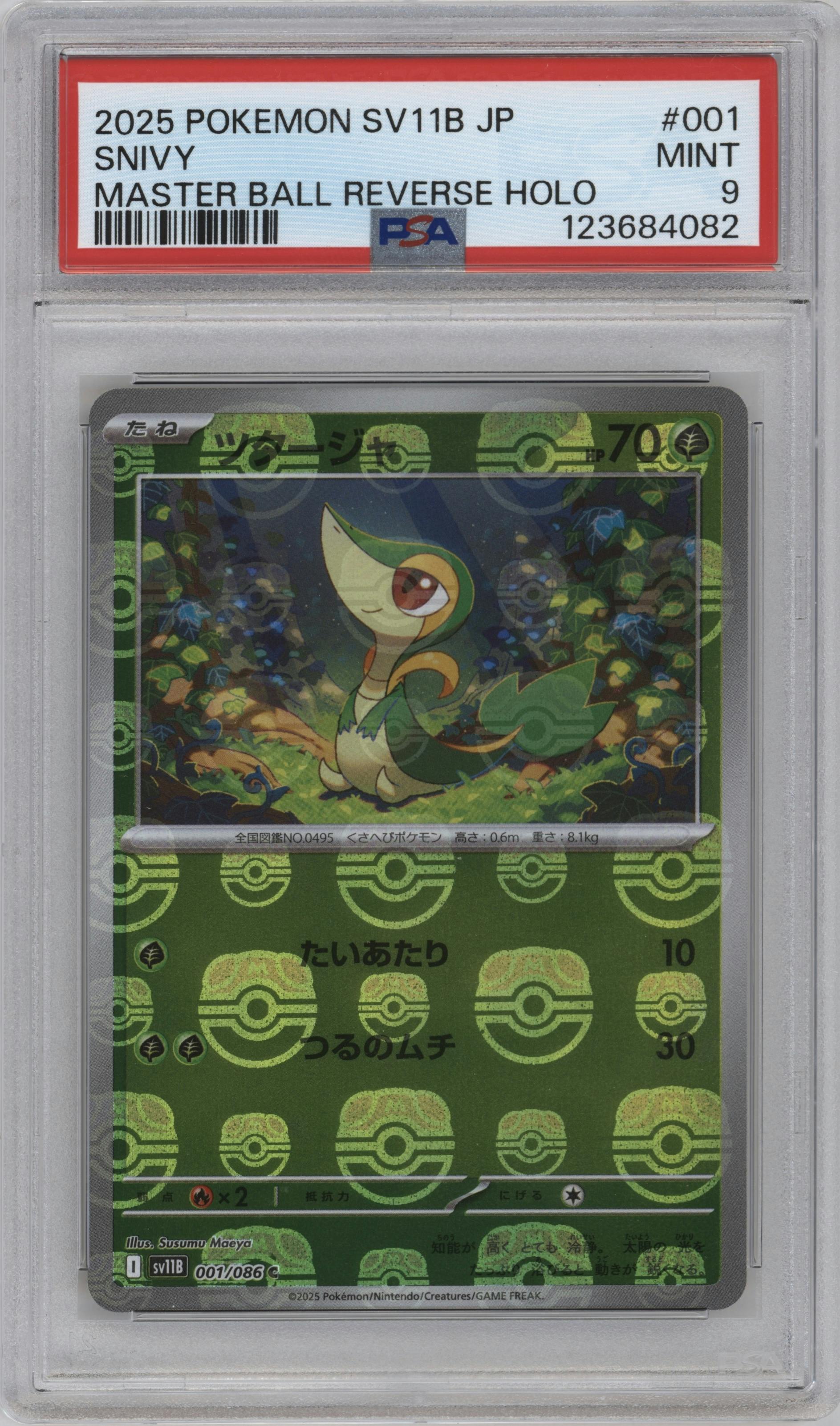 Snivy