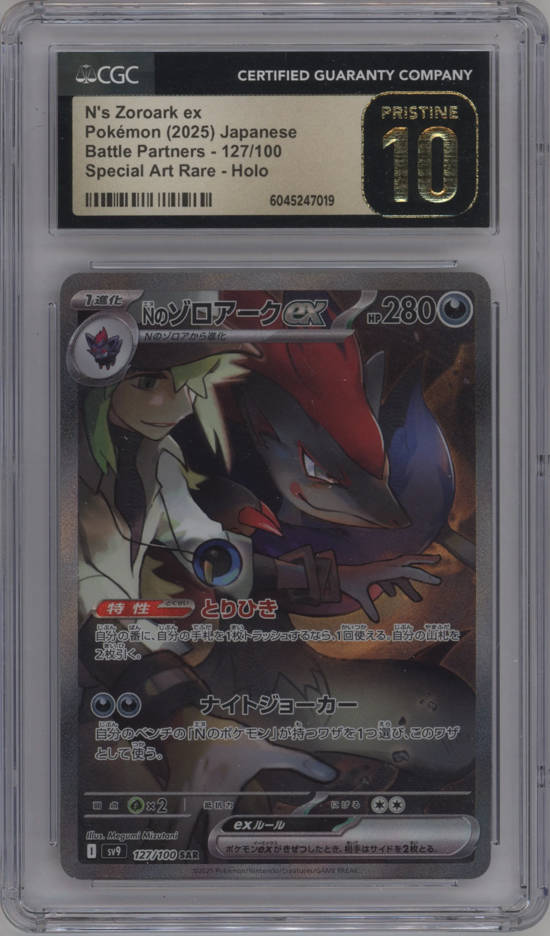 N's Zoroark ex