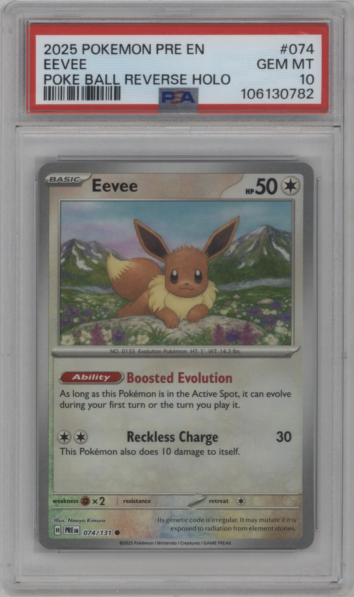 Eevee