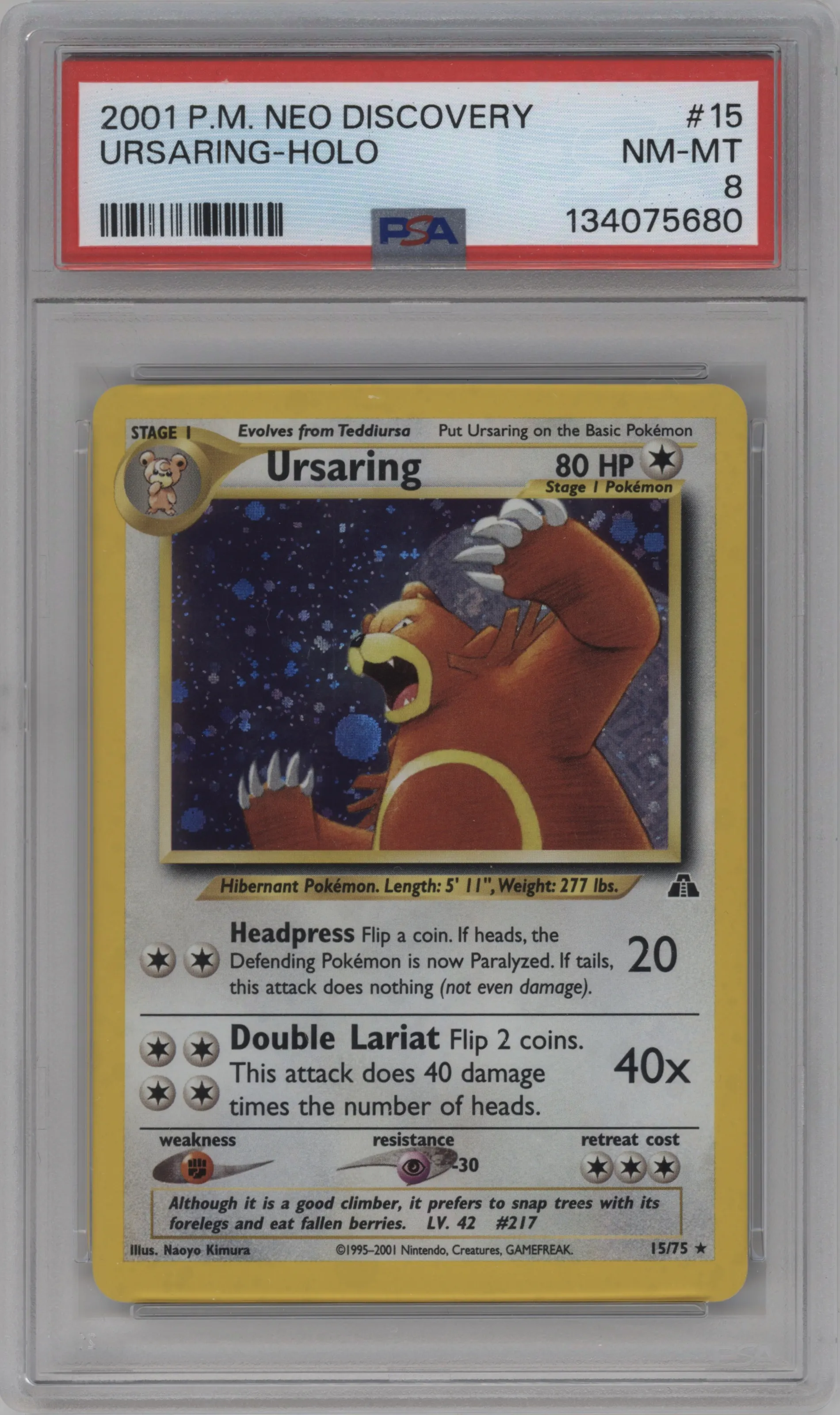 Ursaring
