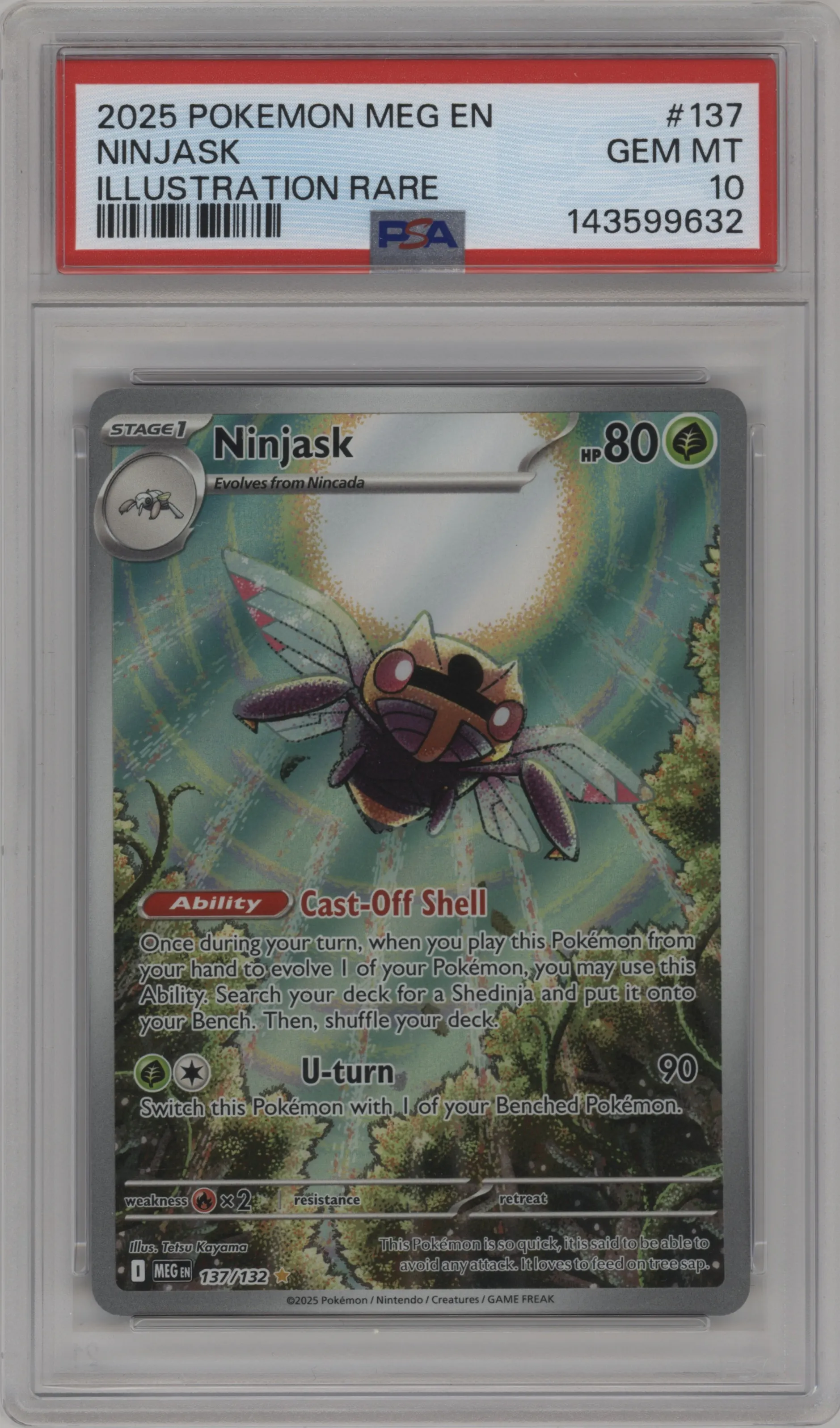 Ninjask