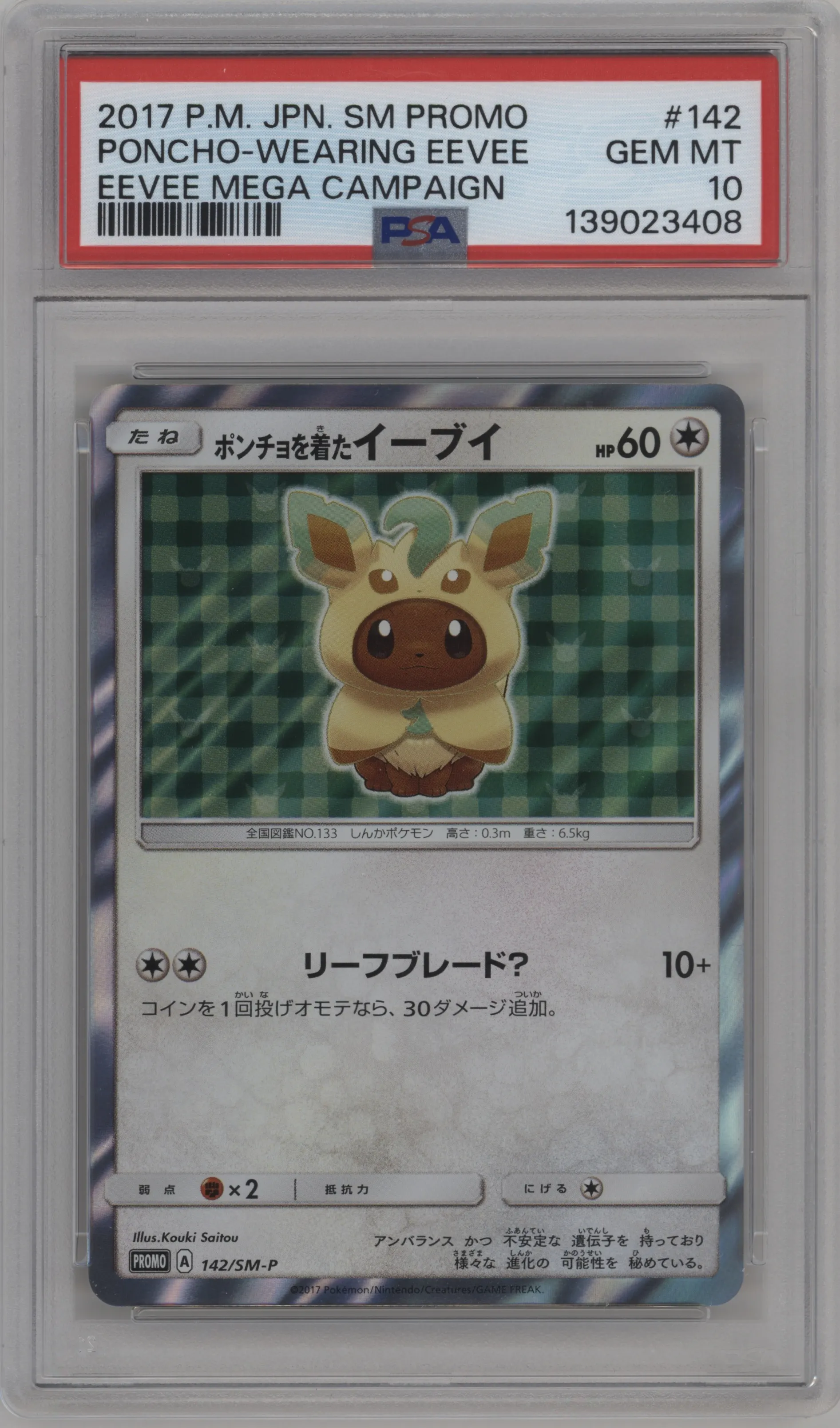 Poncho-Wearing Eevee