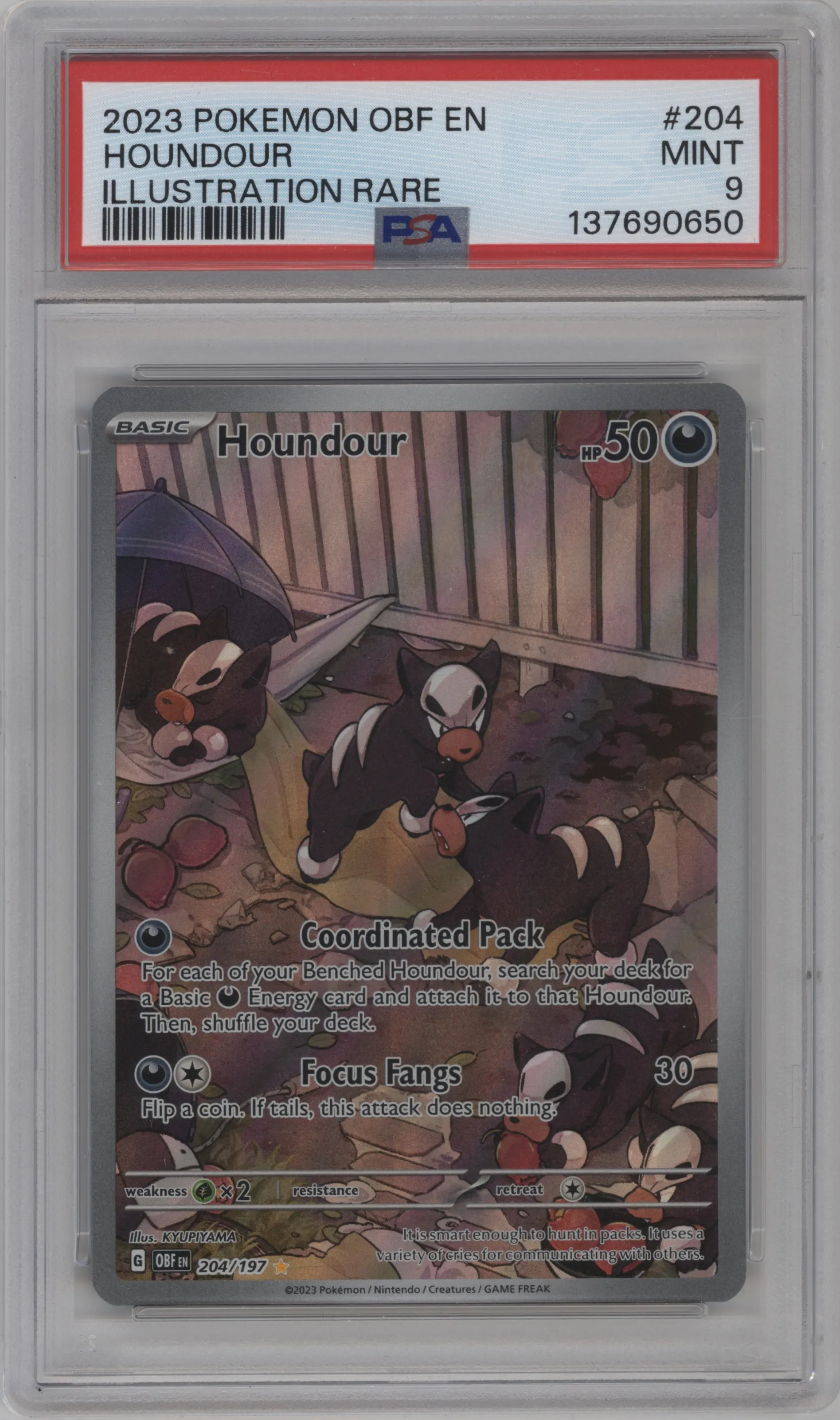 2023 Pokemon SV Obsidian Flame Houndour #204 PSA 9