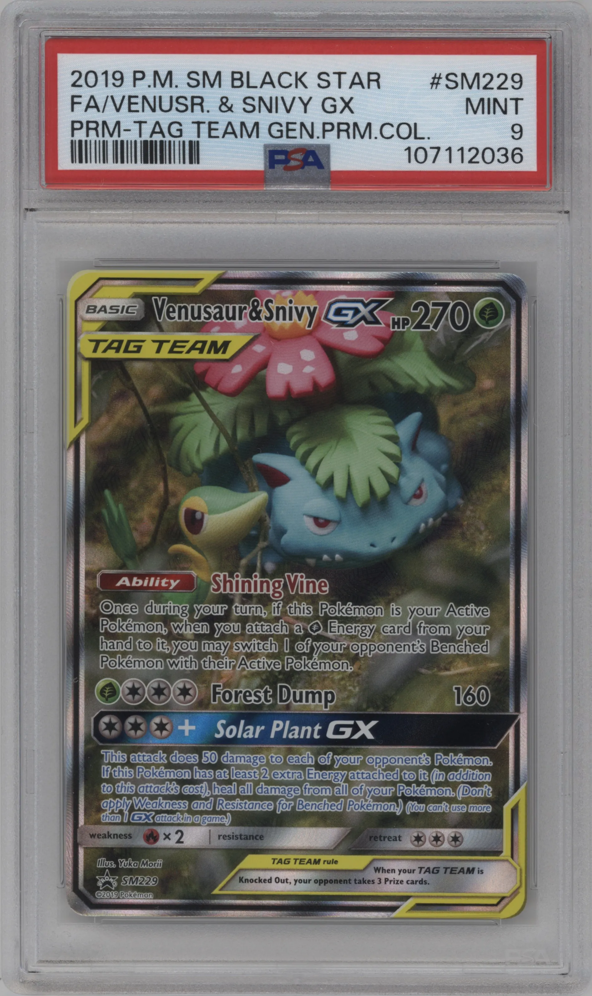 Venusaur/Snivy GX