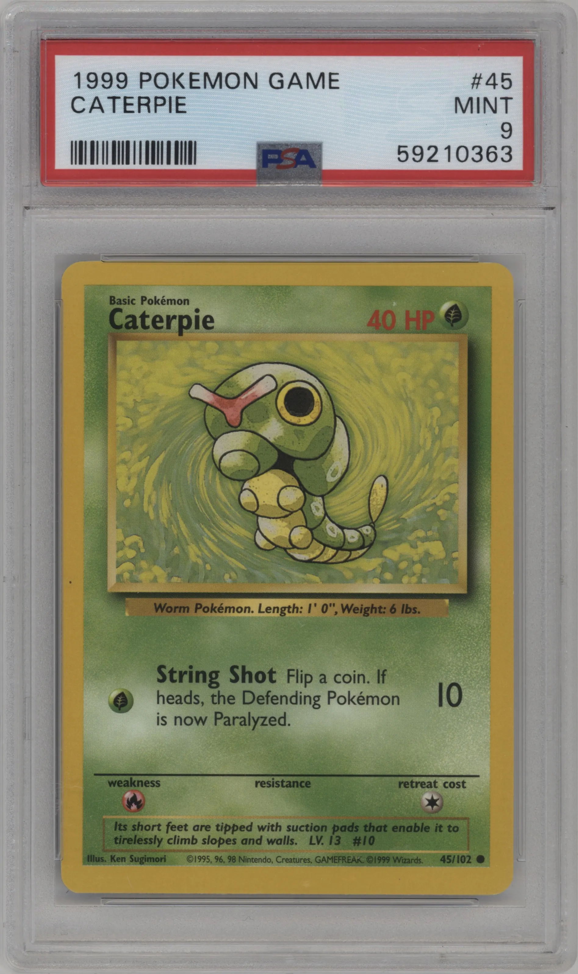 Caterpie