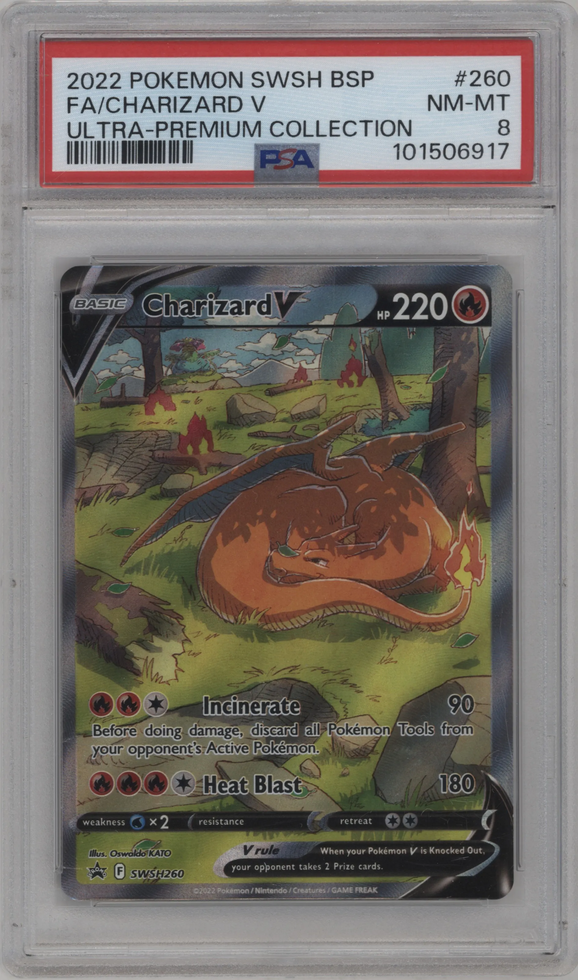 Charizard V