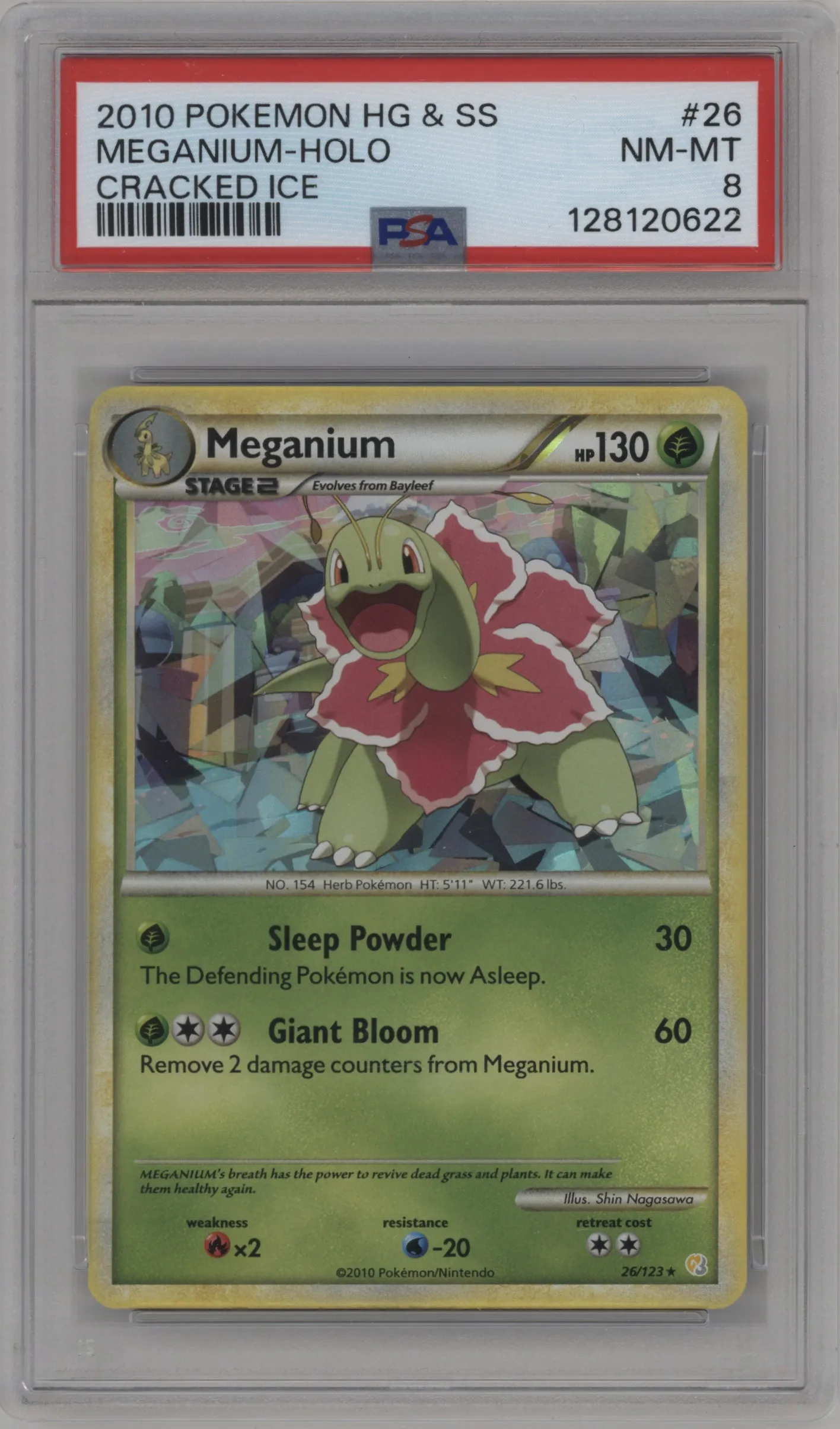 Meganium