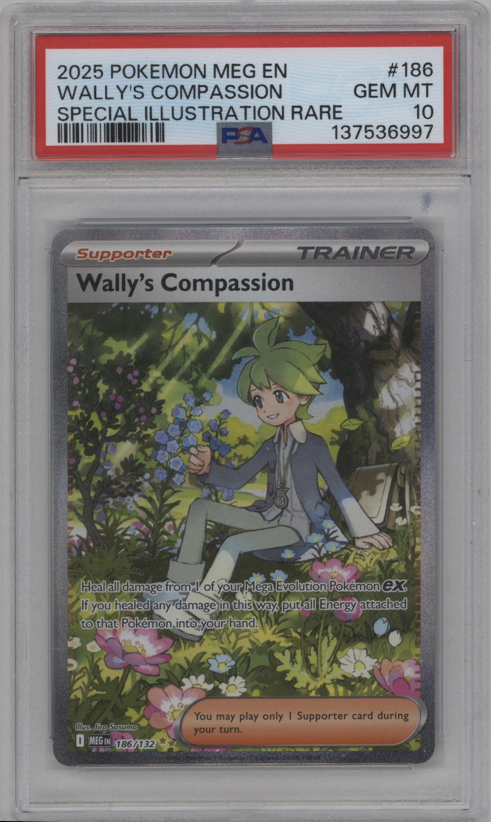 Wally's Compassion