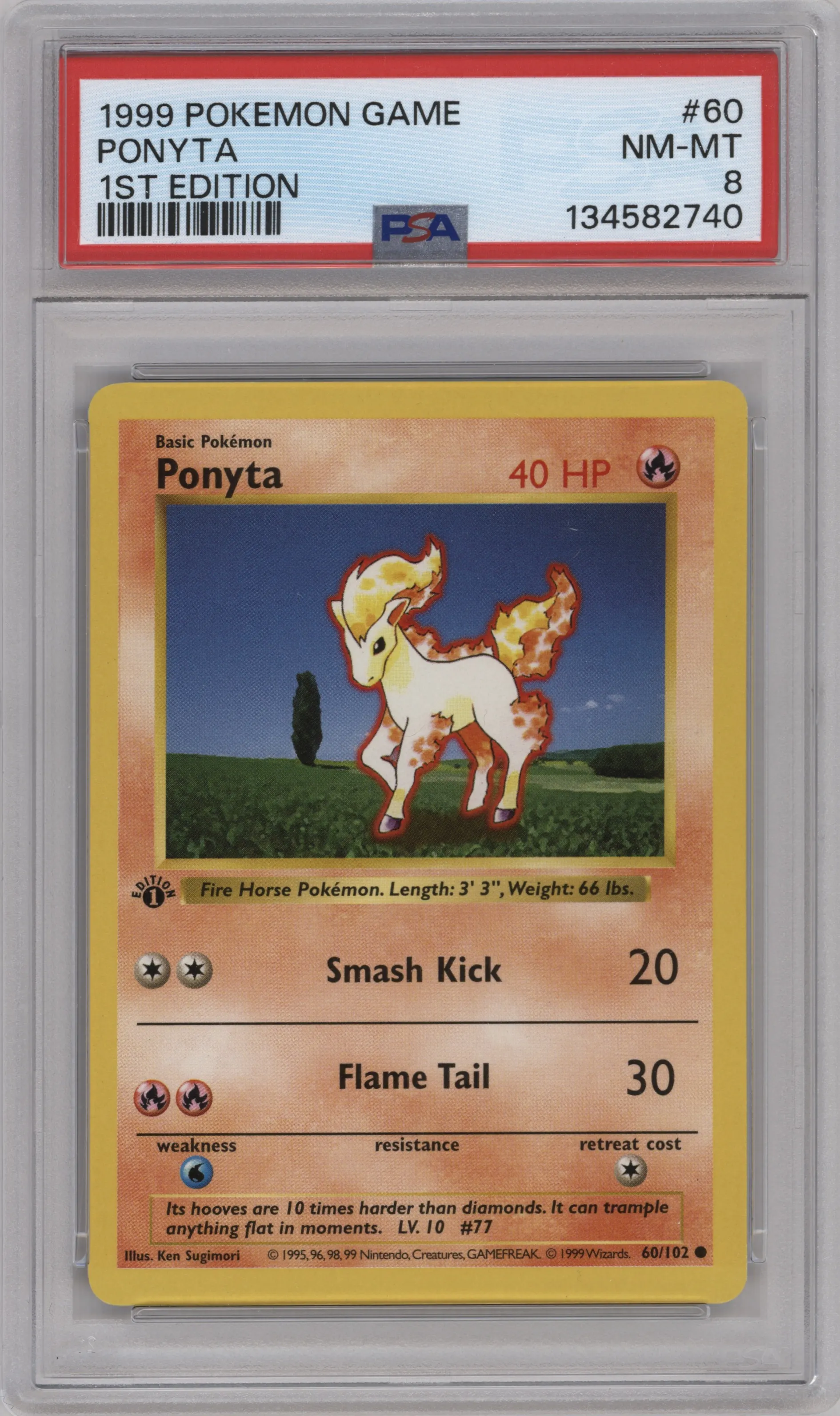 Ponyta