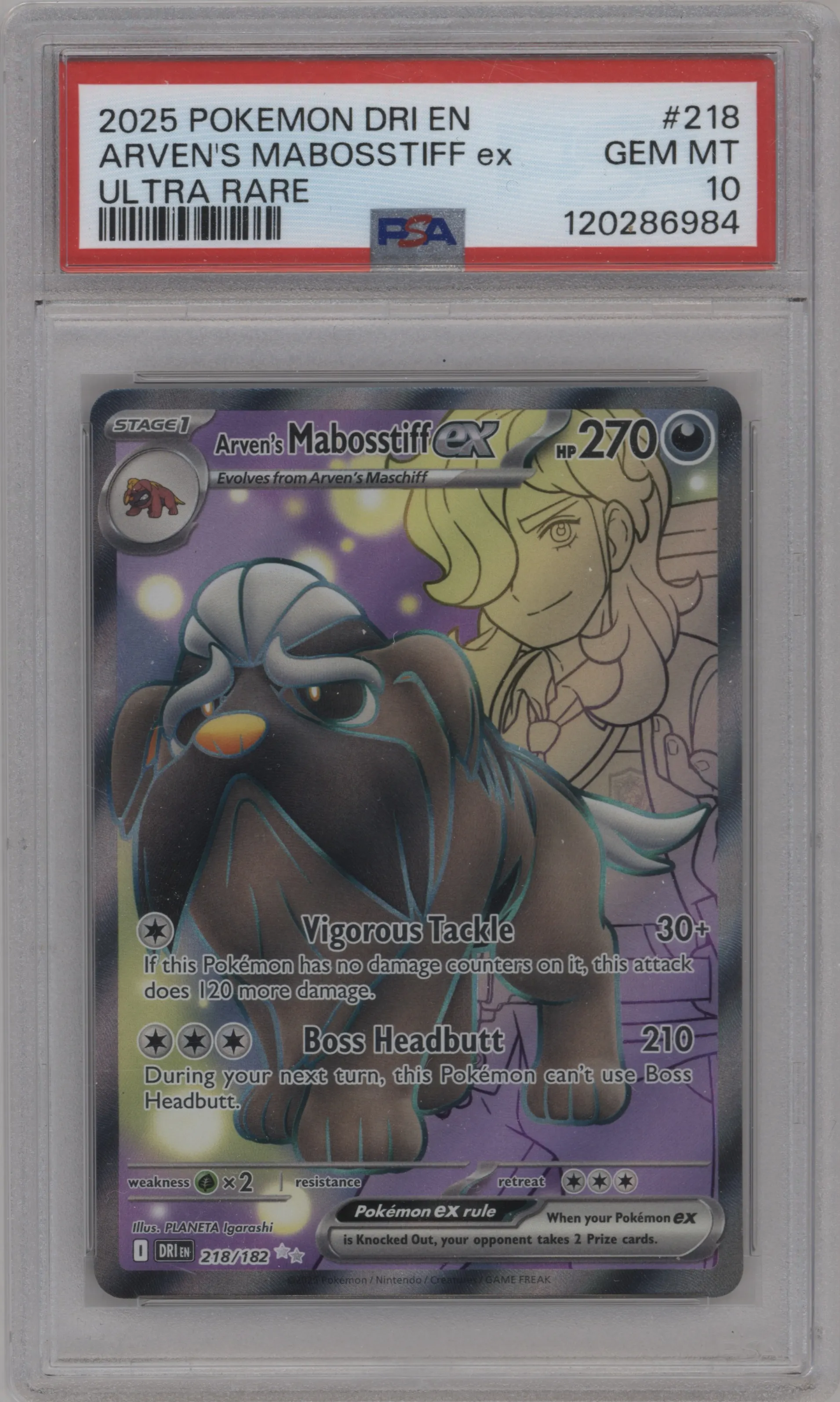 Arven's Mabosstiff ex