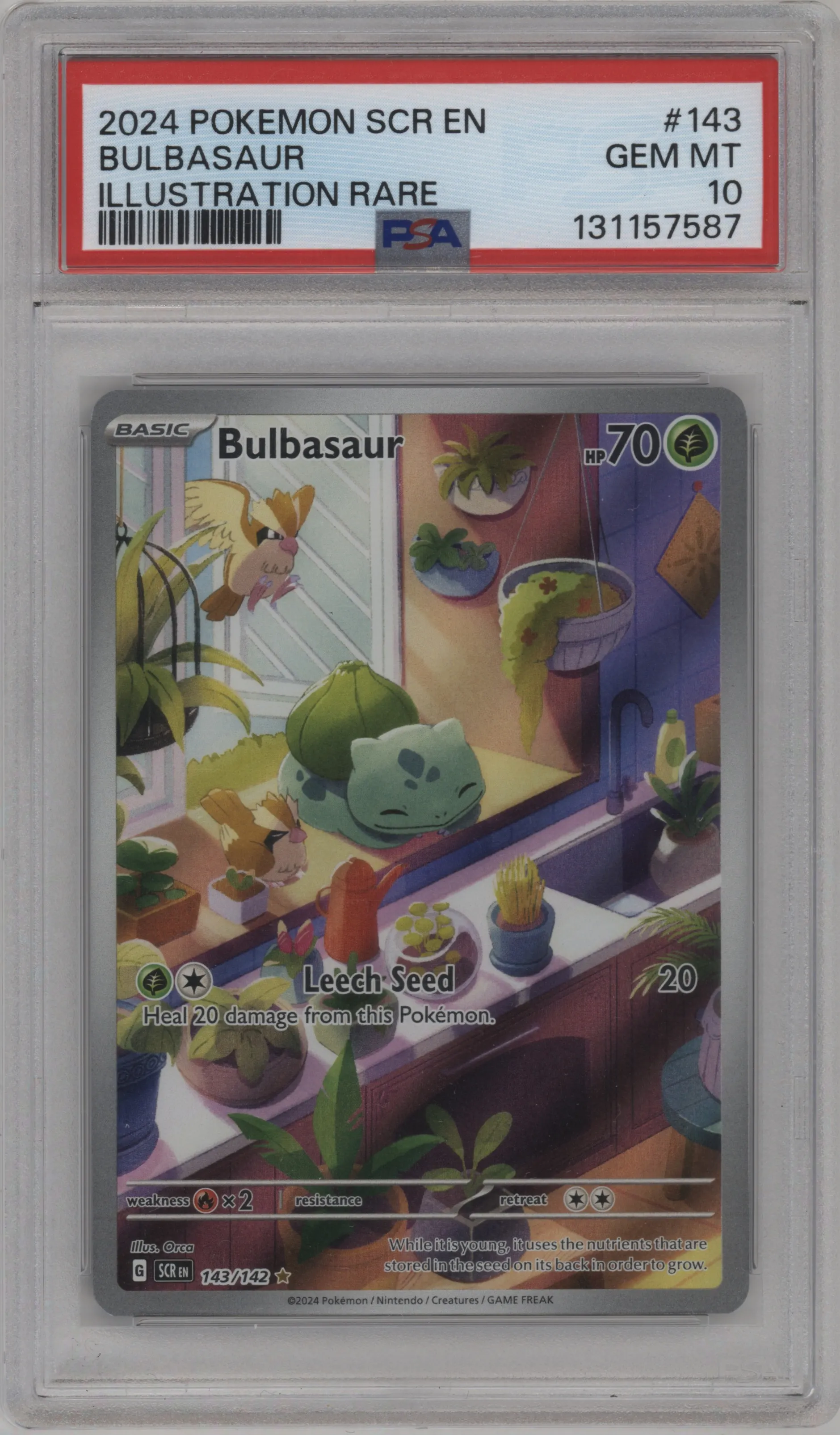 Bulbasaur