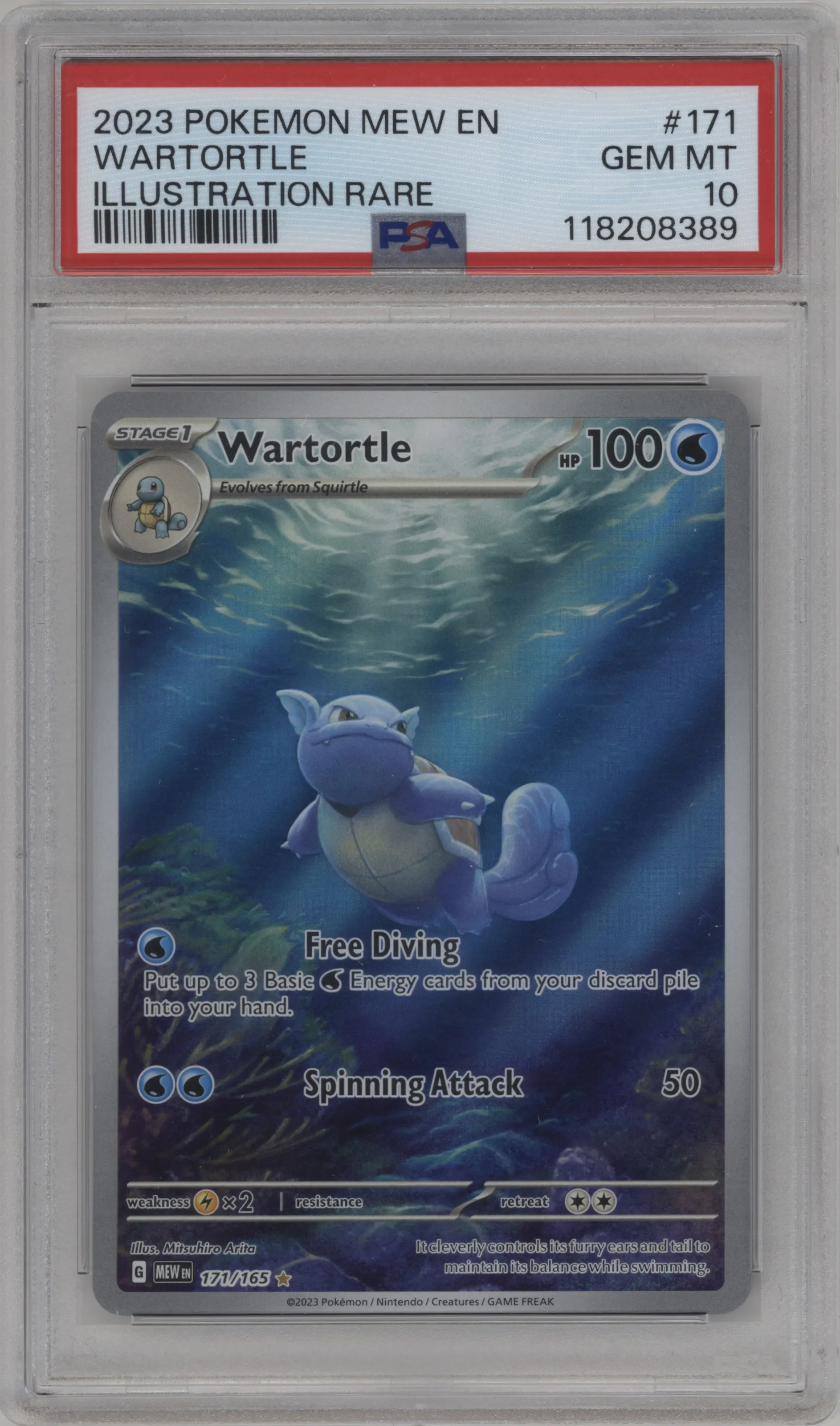 Wartortle