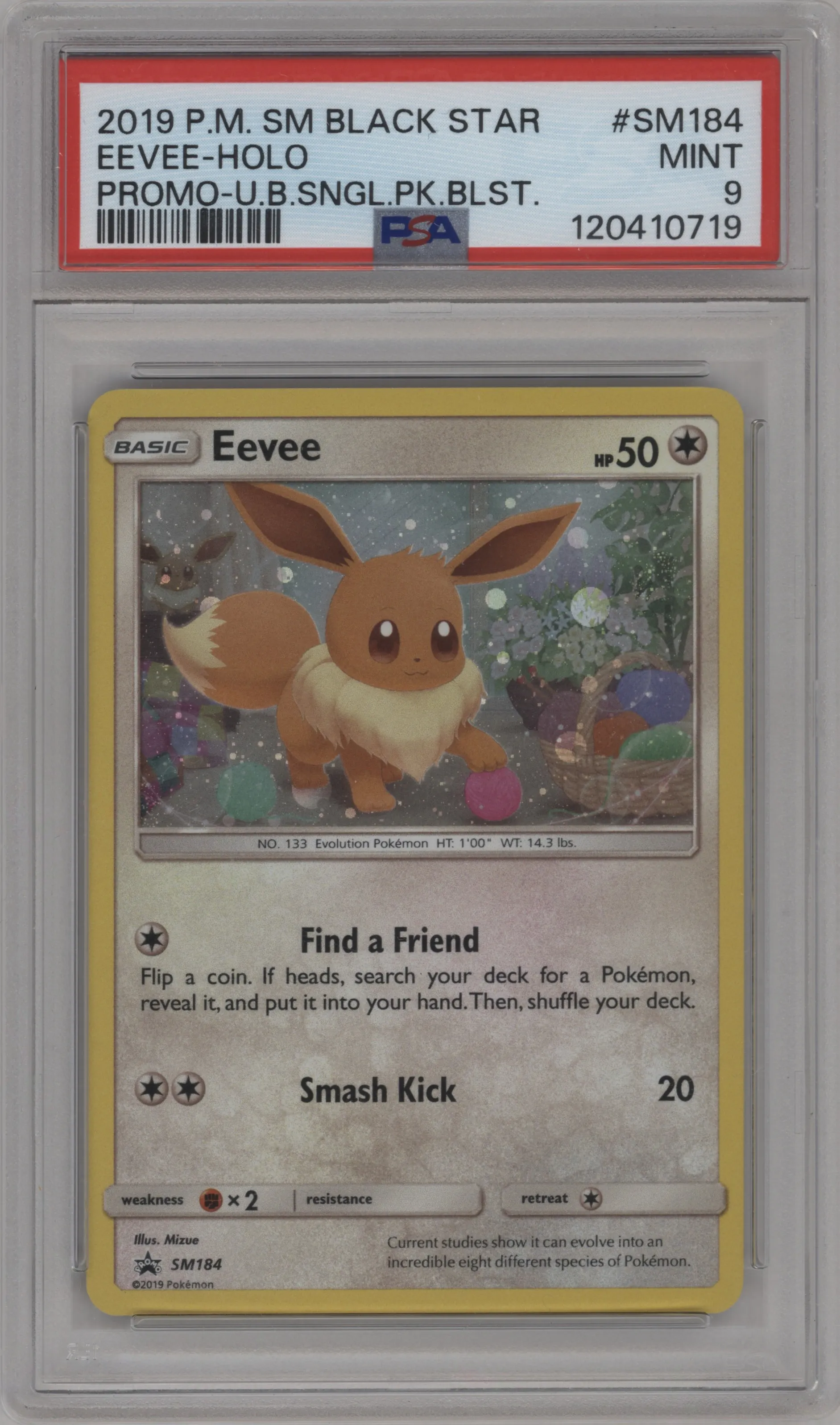 Eevee