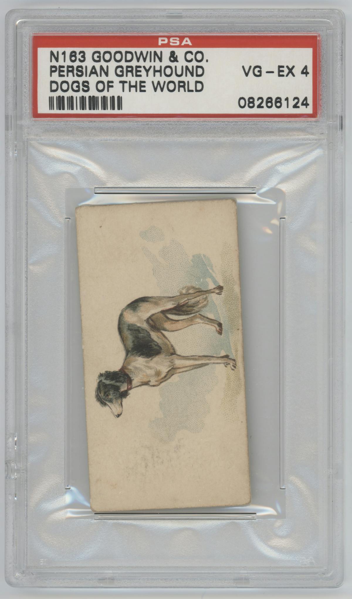 Persian Greyhound from the 1890 Goodwin & Co. Dogs of the World (N163) set graded by PSA and given an overall grade of 4.
