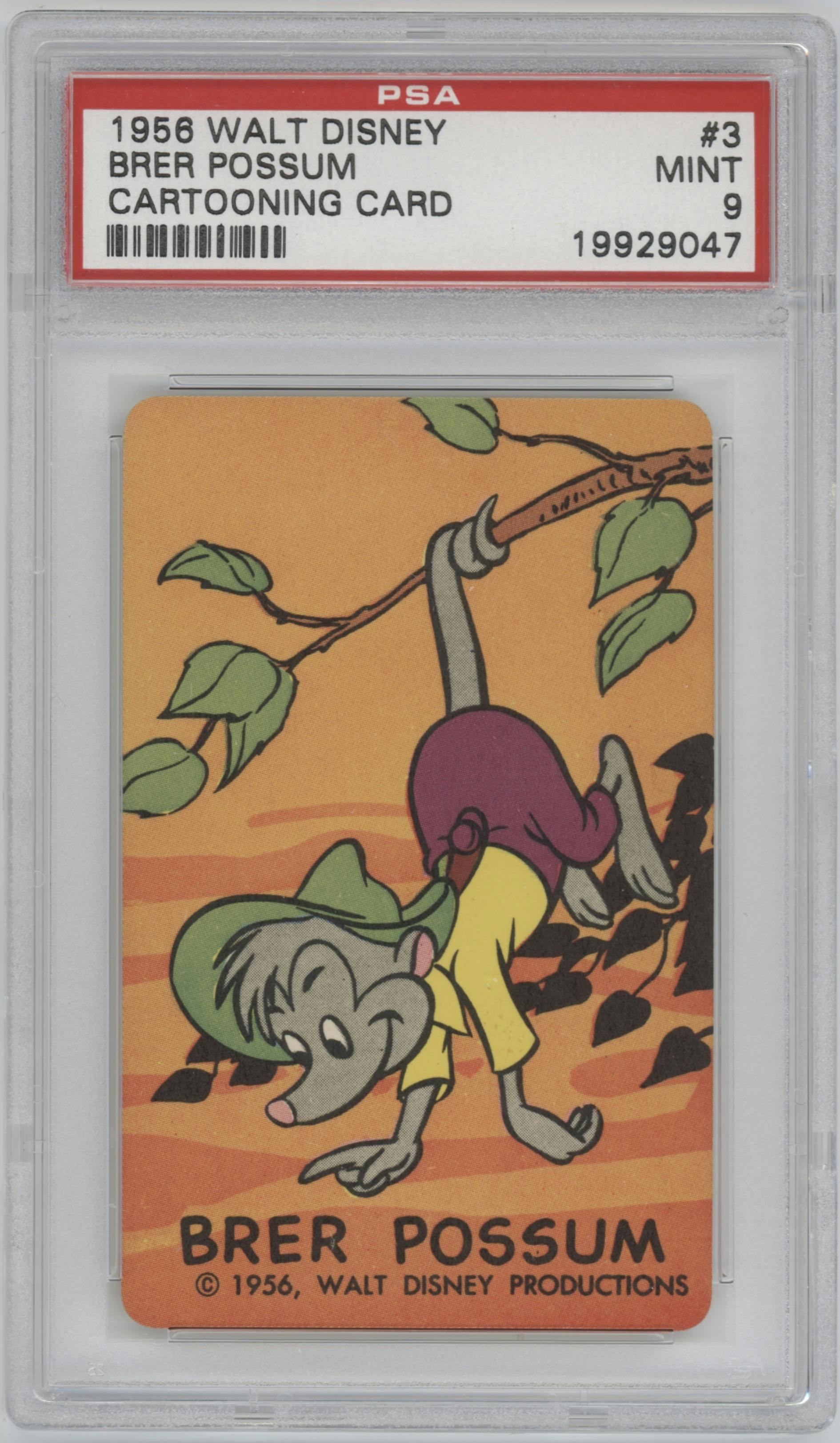 Brer Possum from the 1956 Walt Disney Cartooning Card set graded by PSA and given an overall grade of 9.