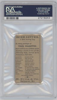 Irish Setter from the 1889 H. Ellis & Co set graded by PSA and given an overall grade of 4.