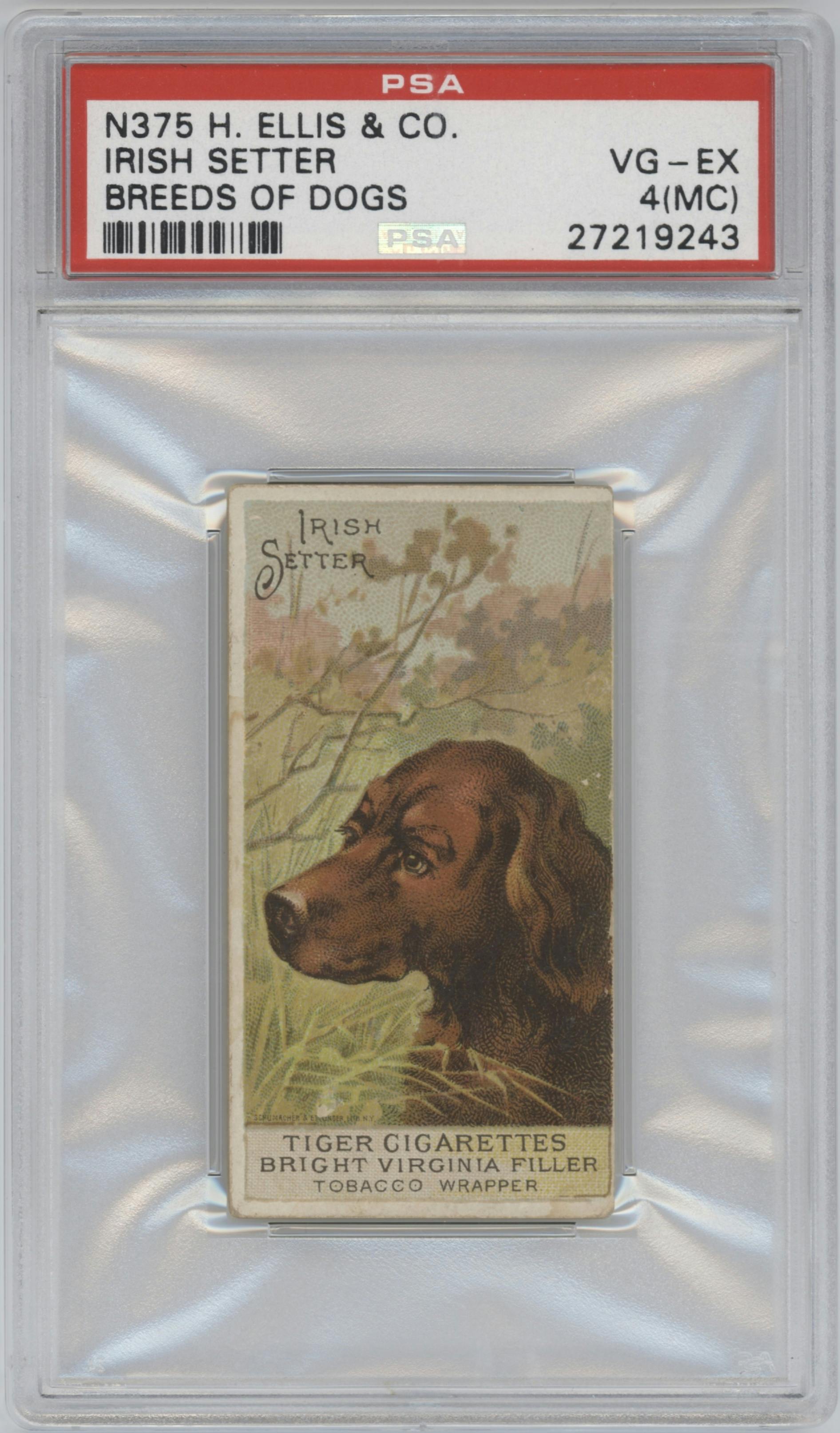 Irish Setter from the 1889 H. Ellis & Co set graded by PSA and given an overall grade of 4.